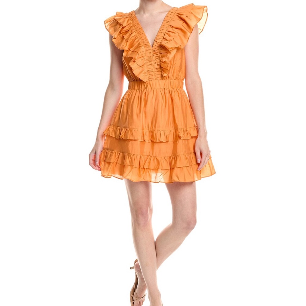 Endless Rose Ruffle Trim Mini Dress